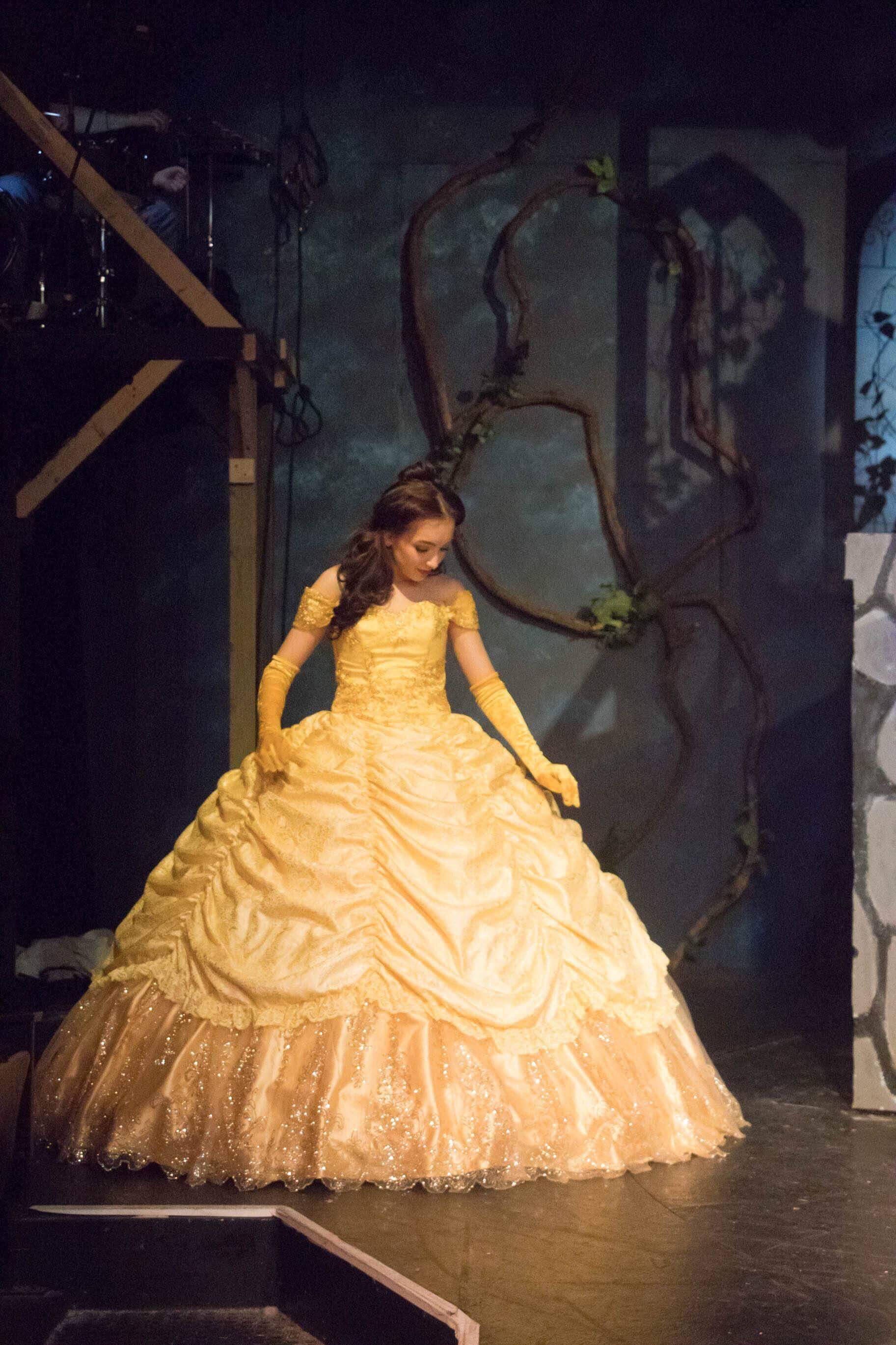 belle dress disney