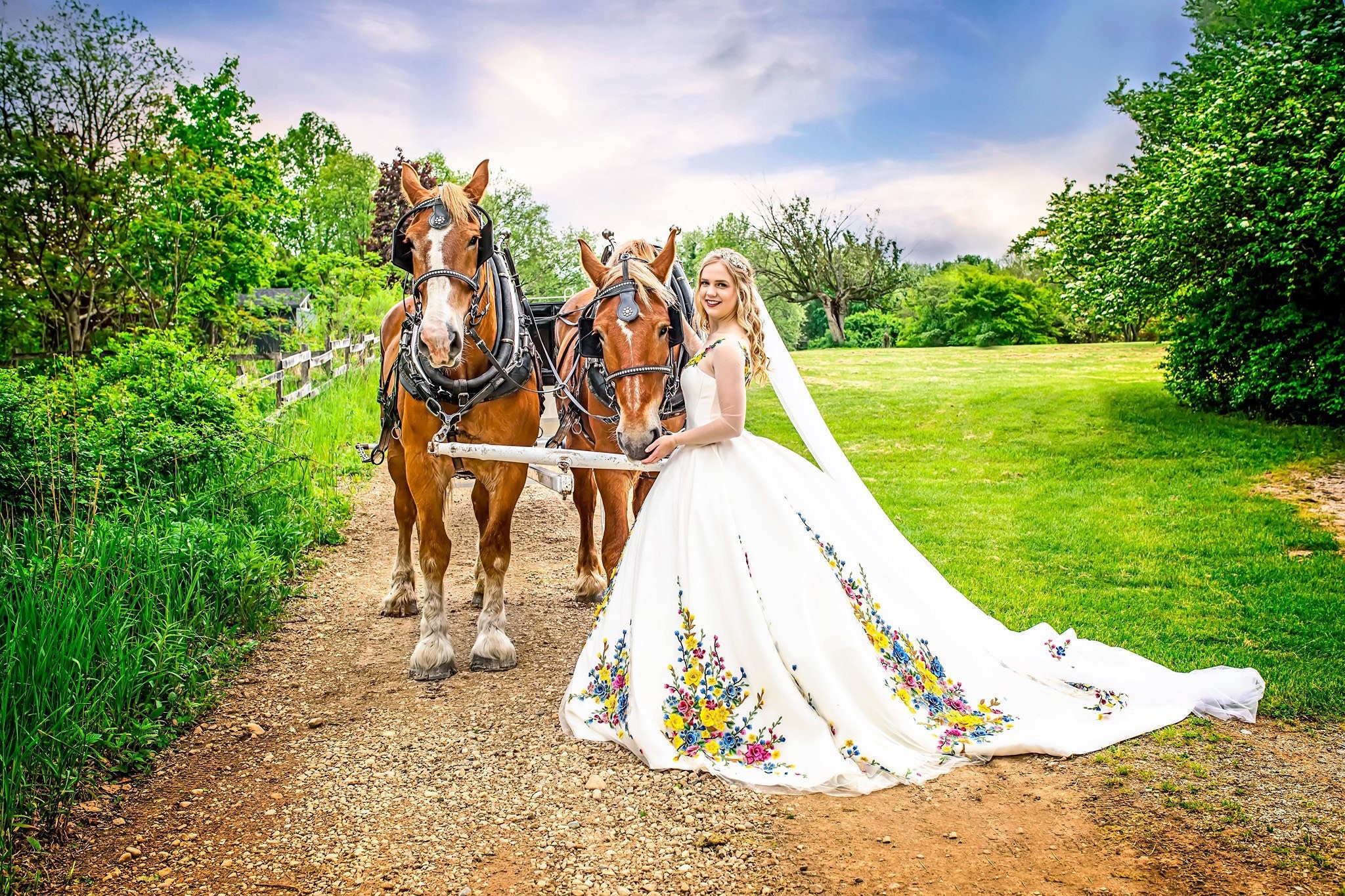 cinderella wedding dress