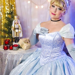 Cinderella Disney Park Inspired, Cinderella Adult Costume Cosplay DRess Ballgown, Cinderella Classic Costume image 3