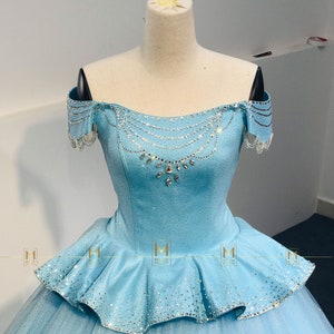 Brandy Cinderella Costume in Blue Verison - Cinderella Dress