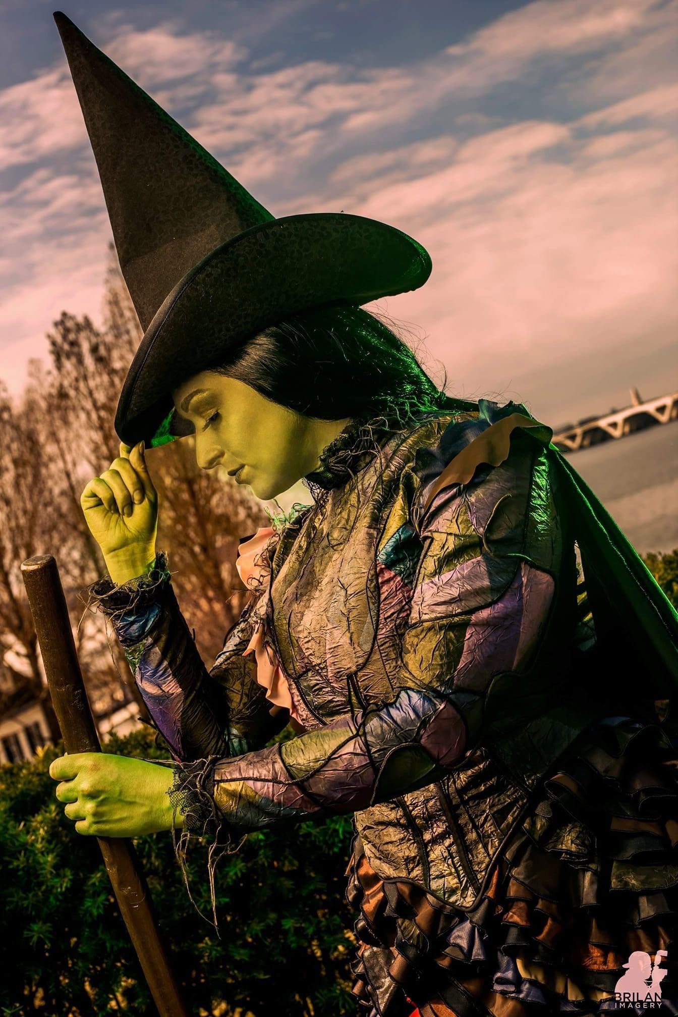 2 Payment Plans, Inspired Wicked Elphaba, Wicked Costume, Adult Costume ...