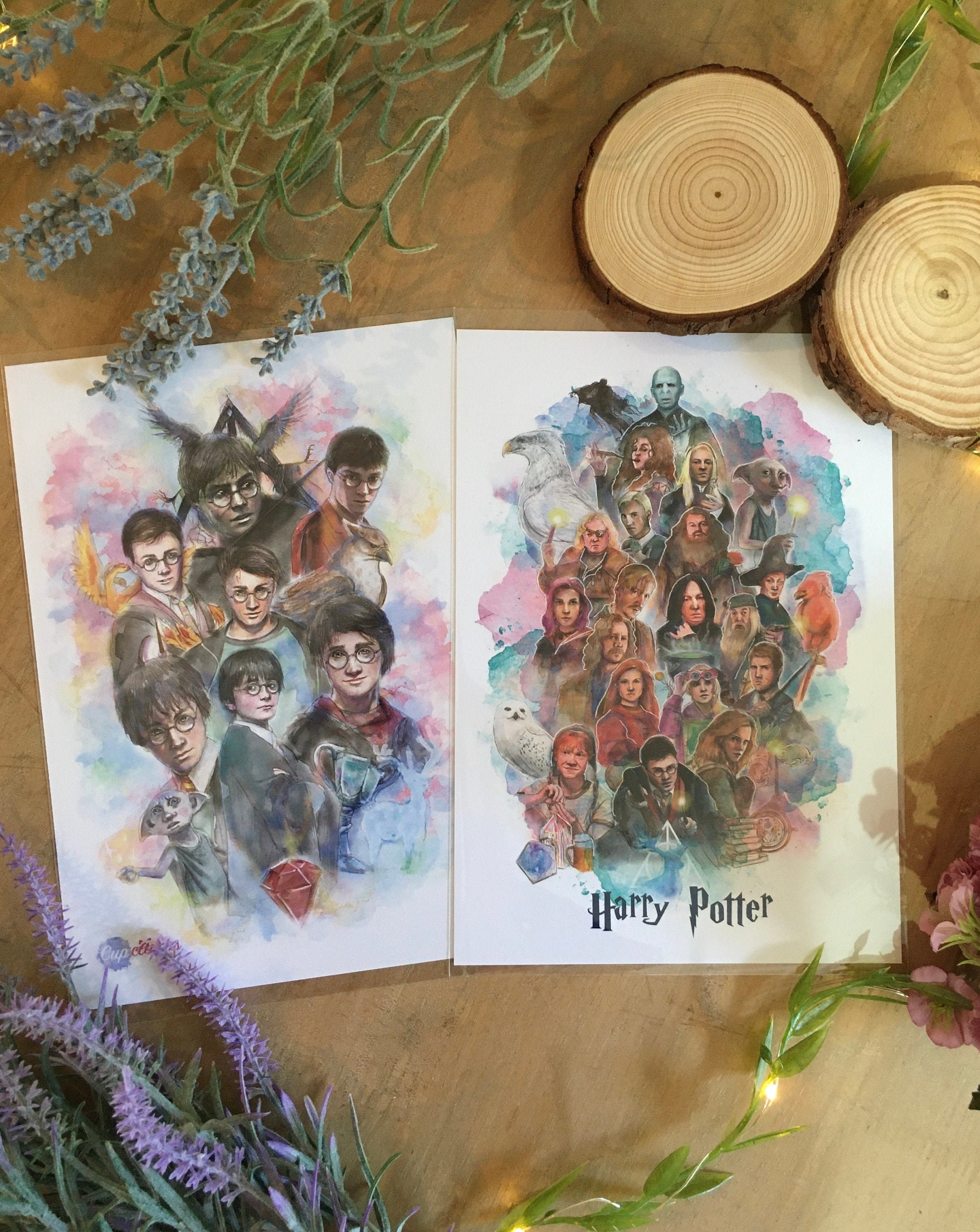 Illustration HARRY POTTER, rum, moon, dobby, hermione, bellatrix....
