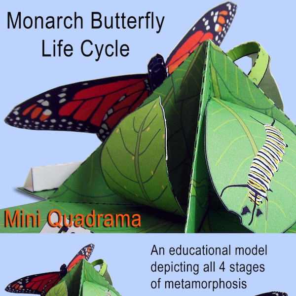 Monarch Butterfly Life Cycle Mini Quadrama Educational Paper Toy Model