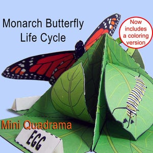 Minimodelo de juguete educativo de papel Quadrama del ciclo de vida de la mariposa monarca