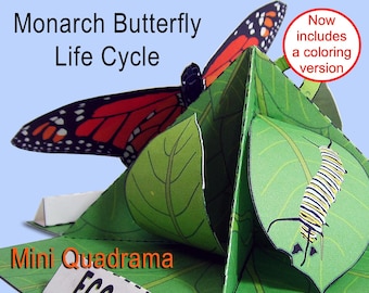 Monarch Butterfly Life Cycle Mini Quadrama Educational Paper Toy Model