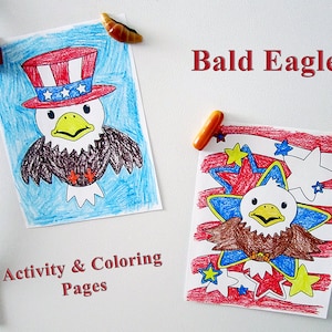 12 coloriages et activités sur le pygargue à tête blanche