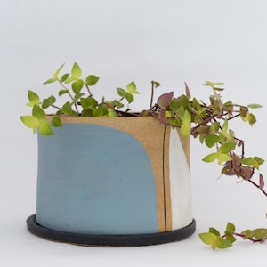 May include: A cylindrical ceramic planter with a light blue, tan, and white design, set on a black saucer. The planter is filled with a trailing green and purple plant, creating a modern, minimalist aesthetic. The pot is approximately 6 inches in diameter.