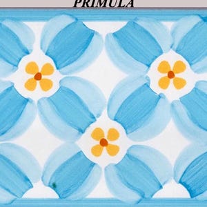 Piastrelle della metropolitana, set di 20 bordi di piastrelle decorative italiane dipinte a mano 20 x 10 cm (8x4 pollici)