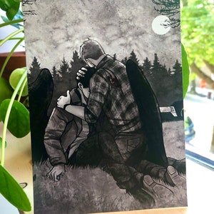 Fallen Postcard