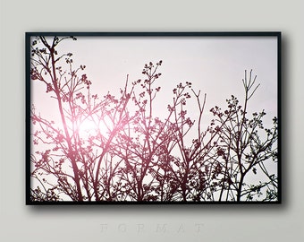 BLOOMING SPRING TREES, Pink Light, Hot pink, Tree Photo, Hipster, Emo, Girl's Room Decor, Girls Bedroom, Black and Pink, Pink and Black, Art