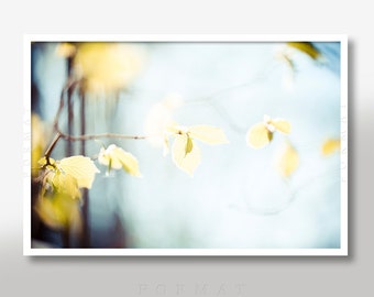 SPRING FLARE, Sprouting Leaves, Oversized Pictures, Spring Light, Sunflare, Light Flare, Sun Beams, Nature Art, Nature Decor, Decorative Art