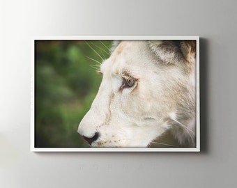 Retrato de ojos de león, impresión fotográfica de animales africanos, decoración de pared estilo safari
