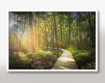 HEAVENLY PATH, Nature Photography, Walk in the Woods, Into the Wild, Forest Path, Motivational Art, Rustic Decor, Happy Trees, Chic Decor
