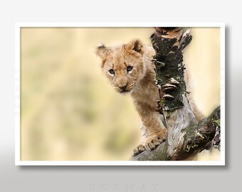 LION CUB, ANIMAL Art, Fine Art, African Art, Lion, Baby Lion, Baby Shower, Baby Nursery, Nursery Art, Nursery Prints, Prints for Nursery