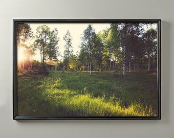 Impresión de luz diurna desvaneciéndose, prado alpino, fotografía de puesta de sol en el bosque