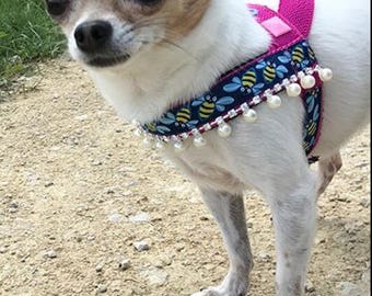 May include: A small white and tan chihuahua wearing a pink and blue dog harness with a bee pattern and pearl accents.