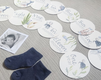 Può includere: Un set di 12 carte rotonde per i traguardi del bambino con un tema oceanico. Ogni carta presenta una creatura marina diversa e il numero di mesi. Le carte sono bianche con illustrazioni ad acquerello blu e verdi. Il testo sulle carte recita "hello world", "un mese", "due mesi", "tre mesi", "quattro mesi", "cinque mesi", "sei mesi", "sette mesi", "otto mesi", "nove mesi", "dieci mesi", "undici mesi", e "un anno".