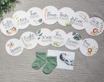 Può includere: Un set di biglietti per le tappe fondamentali del bambino con illustrazioni di animali della giungla e mesi stampati. Include un paio di calzini verdi e una foto in bianco e nero di un bambino. I biglietti sono rotondi e decorati con foglie.