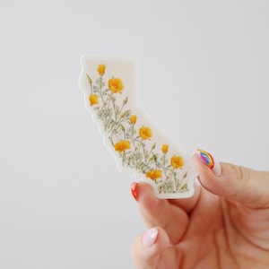 Poppies CA Sticker