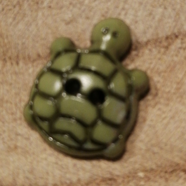 Schildkröte Knopf / tortoise button