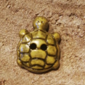 Schildkröte Knopf / tortoise button