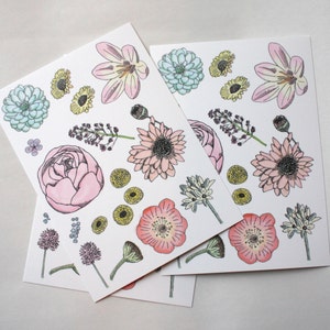 Postcard : Wild Flowers.