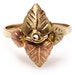 see more listings in the Rings section