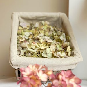 Dry Hydrangea petals, biodegradable confetti, Wedding petals, Dry flowers petals for Potpourri