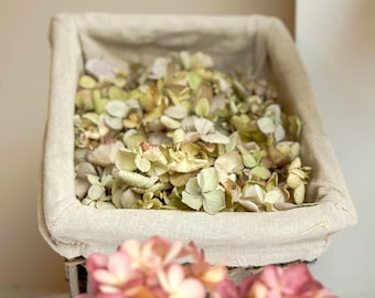 Droge hortensiablaadjes, biologisch afbreekbare confetti, bruidsbloemblaadjes, gedroogde bloemblaadjes voor potpourri