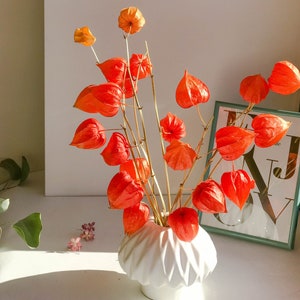 Könnte beinhalten: Eine weiße, strukturierte Vase enthält ein lebendiges Arrangement aus orangefarbenen Lampionblumen. Die getrockneten Stiele und leuchtend orangefarbenen Kapseln bilden einen auffälligen Kontrast.