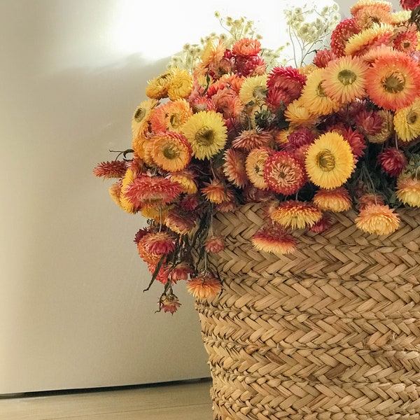 Dry Strawflower, 20 Stems, Apricot Strawflower, Strawflower bunch, Helichrysum Bouquet