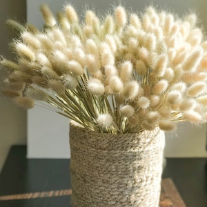 Dried lagurus 50 pcs, Bunny Tails, Lagurus, Dried Natural Laguru, Lagurus Bunches, Natural Lambs Tails, Dried Grass Bunch, Bunny tails grass