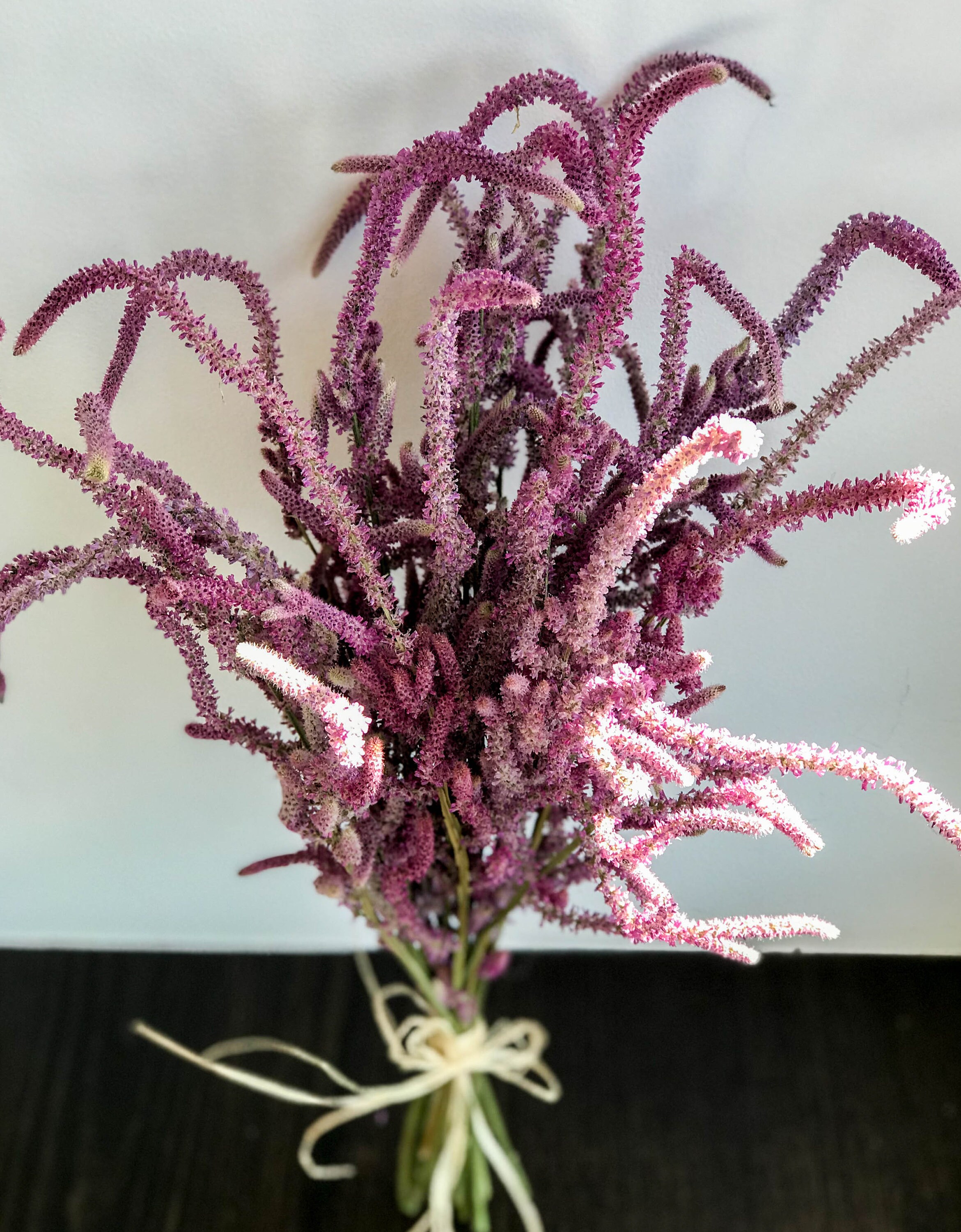 Dried Statice Flower Dry Satice Suworowii Dried Limonium Etsy