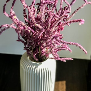May include: A bouquet of vibrant magenta celosia flowers with long, feathery, plume-like stems arranged in a white ceramic vase. The vase features a cylindrical shape with vertical ribbed textures along its exterior surface, creating a clean look.