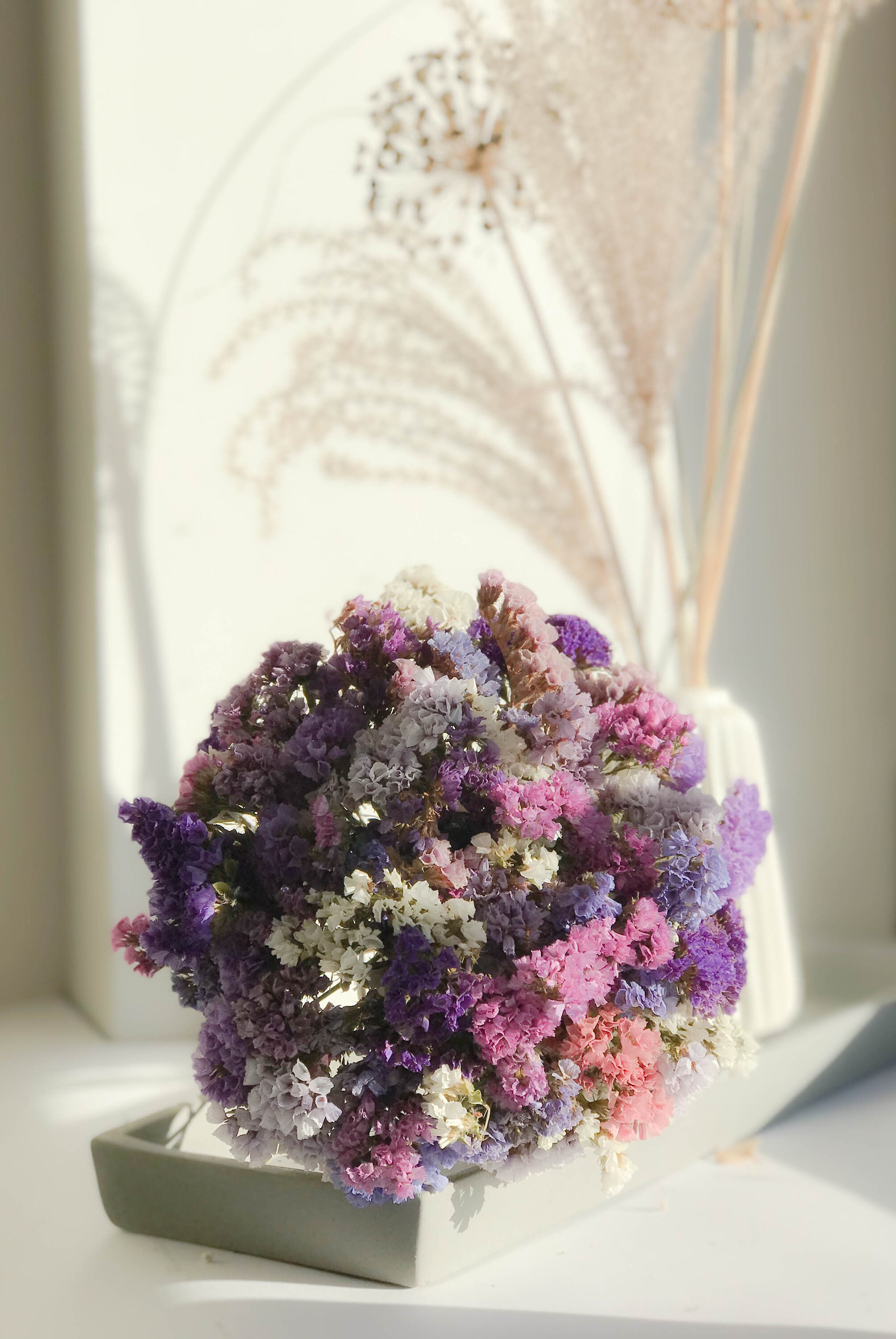 Dried Limonium Flowers Color Mix Statice Dried Limonium Etsy Ireland