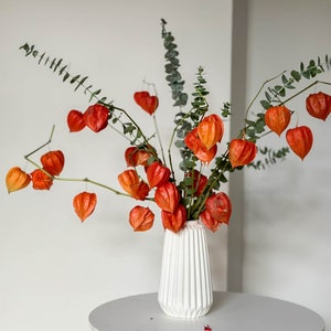 Könnte beinhalten: Eine weiße, gerippte Keramikvase mit leuchtend orangefarbenen chinesischen Lampionblumen und grünen Eukalyptuszweigen. Die Vase steht auf einem kleinen, runden, weißen Tisch mit Holzbeinen vor einer schlichten weißen Wand.