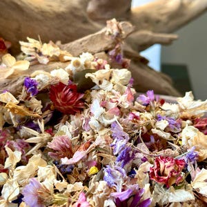 Confettis de fleurs séchées, confettis de mariage, cadeau d'invité de mariage, panier de demoiselle d'honneur, mélange de fleurs séchées, confettis de fleurs de filles, décoration de table