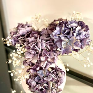 ドライアジサイの茎：5種類の短いボヘミアン風花、シックなホームデコレーション