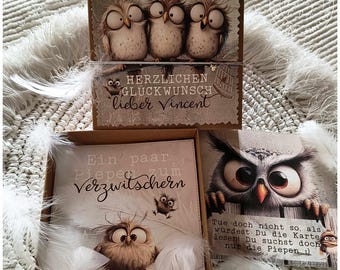 Lustiges Geldgeschenk Box mit Eulen & Vögeln | Geburtstagsgeschenk 4011