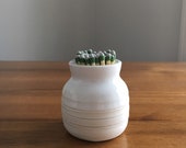 Porcelain Match Striker Strike Anywhere Matches White Match striker holder succulent handmade wheel thrown pottery ceramics fireplace candle