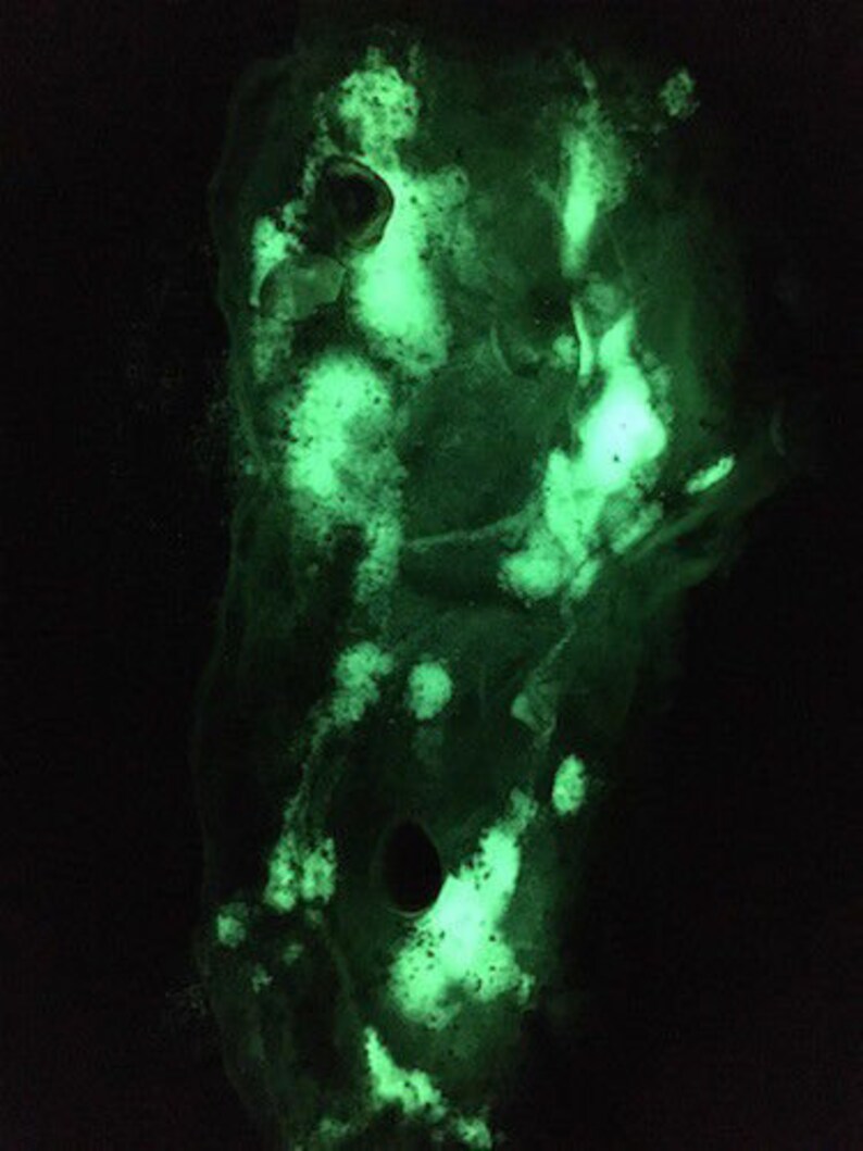 glow in the dark swamp thing