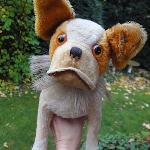 Antique Steiff Bully Dog - Etsy