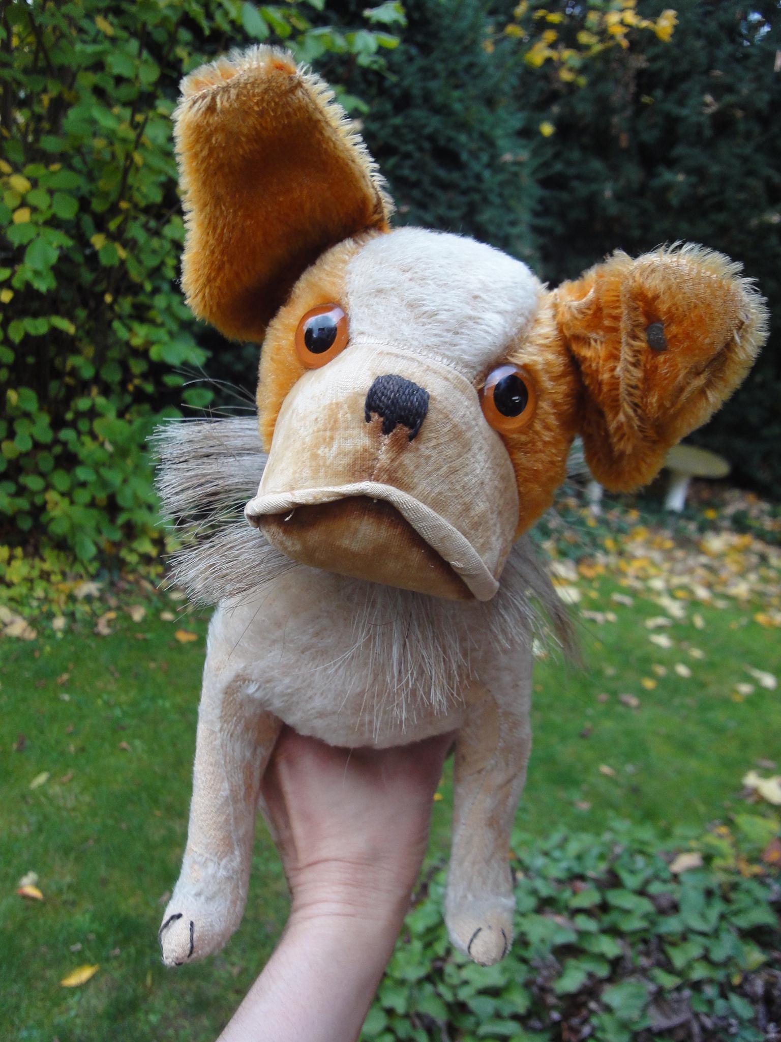 Antique Steiff Bully Dog - Etsy