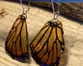 Monarch Butterfly earrings