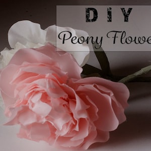 Peony sjabloon en gratis VIDEO instructies-(pdf, svg & dxf-bestanden) bloem maken