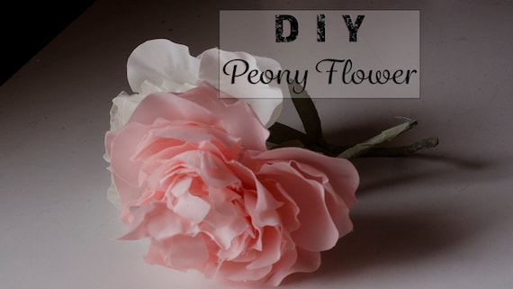 Peony Template And Free Video Instructions Pdf Svg Dxf Etsy