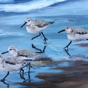 Sandpipers image 2