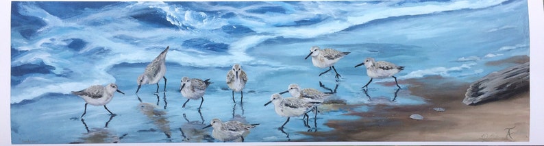 Sandpipers image 1