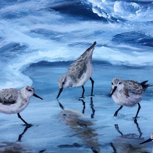 Sandpipers image 3