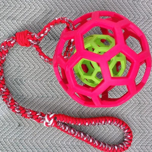 Paw Print Nail Decals